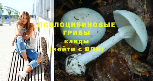 молекула духа Баксан