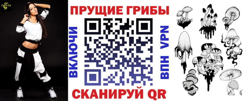 Псилоцибиновые грибы Cubensis  Переславль-Залесский 